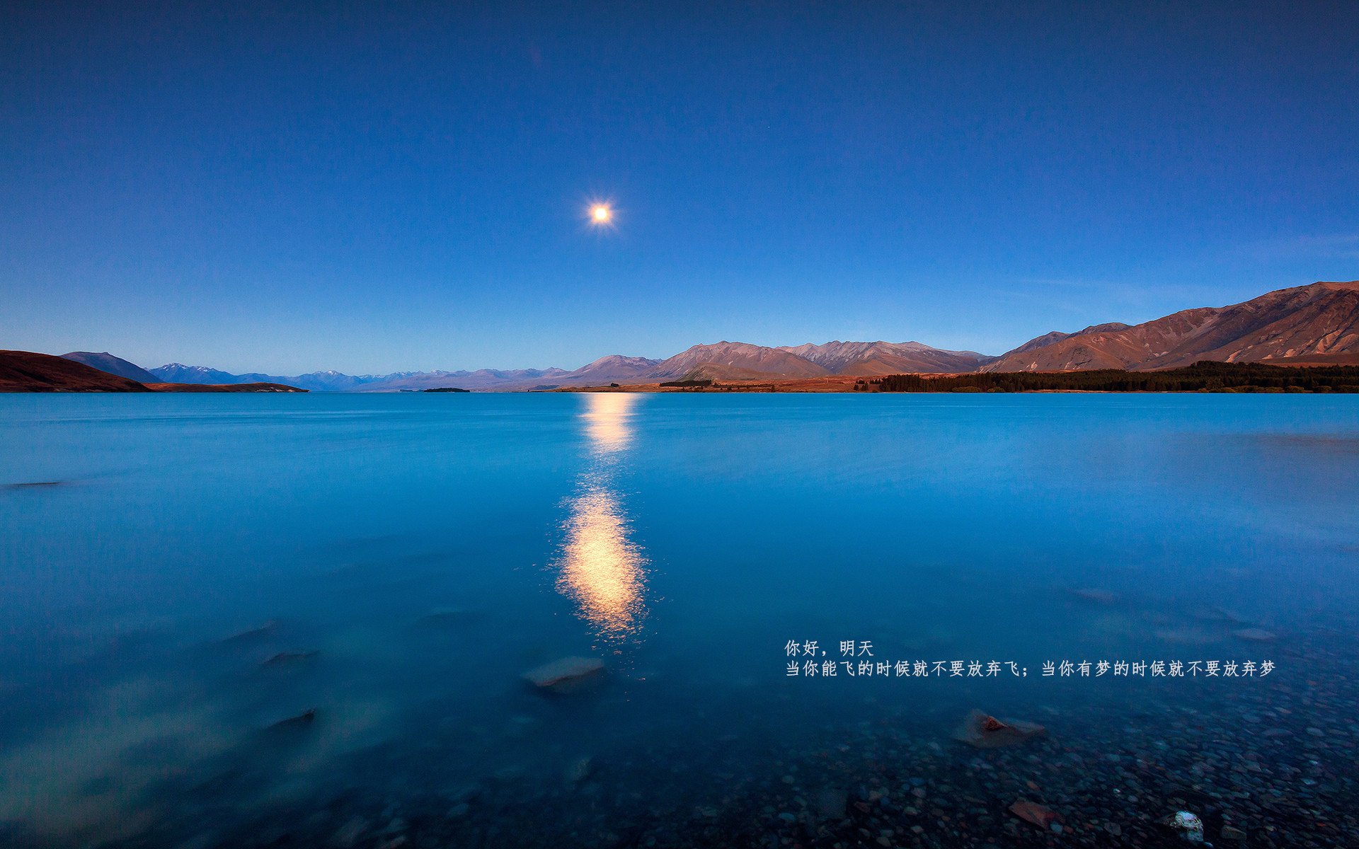 赛道与球场的双面狂飙，当F1悬念在波特兰街头被篮球提前终结